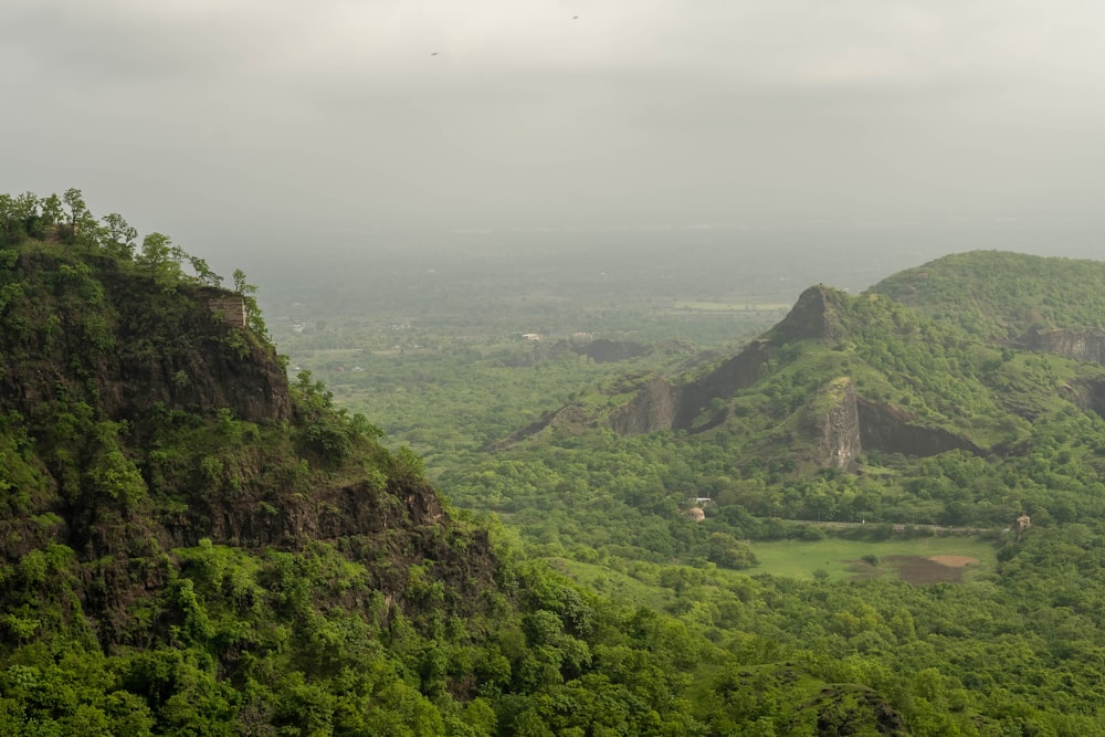 a landscape with trees and hills