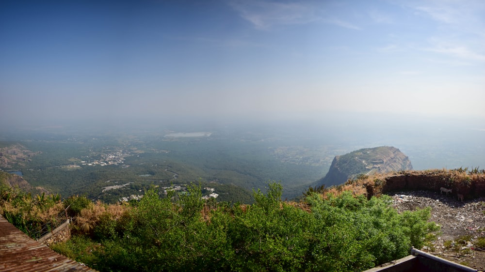 a view of a city from a hill