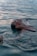 A woman is floating in a body of water, with her eyes closed and face relaxed, suggesting a sense of peace and tranquility. The water is calm and reflects the natural light, creating a serene and soothing atmosphere.