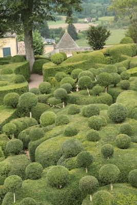 A meticulously maintained garden featuring hedges and bushes trimmed into various shapes, including spheres and square patterns. The garden is lush and green, with a backdrop of rural scenery including fields and a small house with a conical roof.