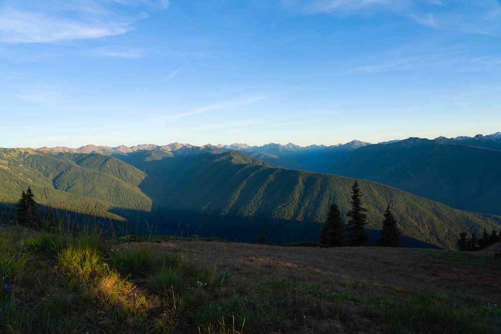 a grassy valley with trees and mountains in the background