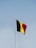 a flag on a flagpole
