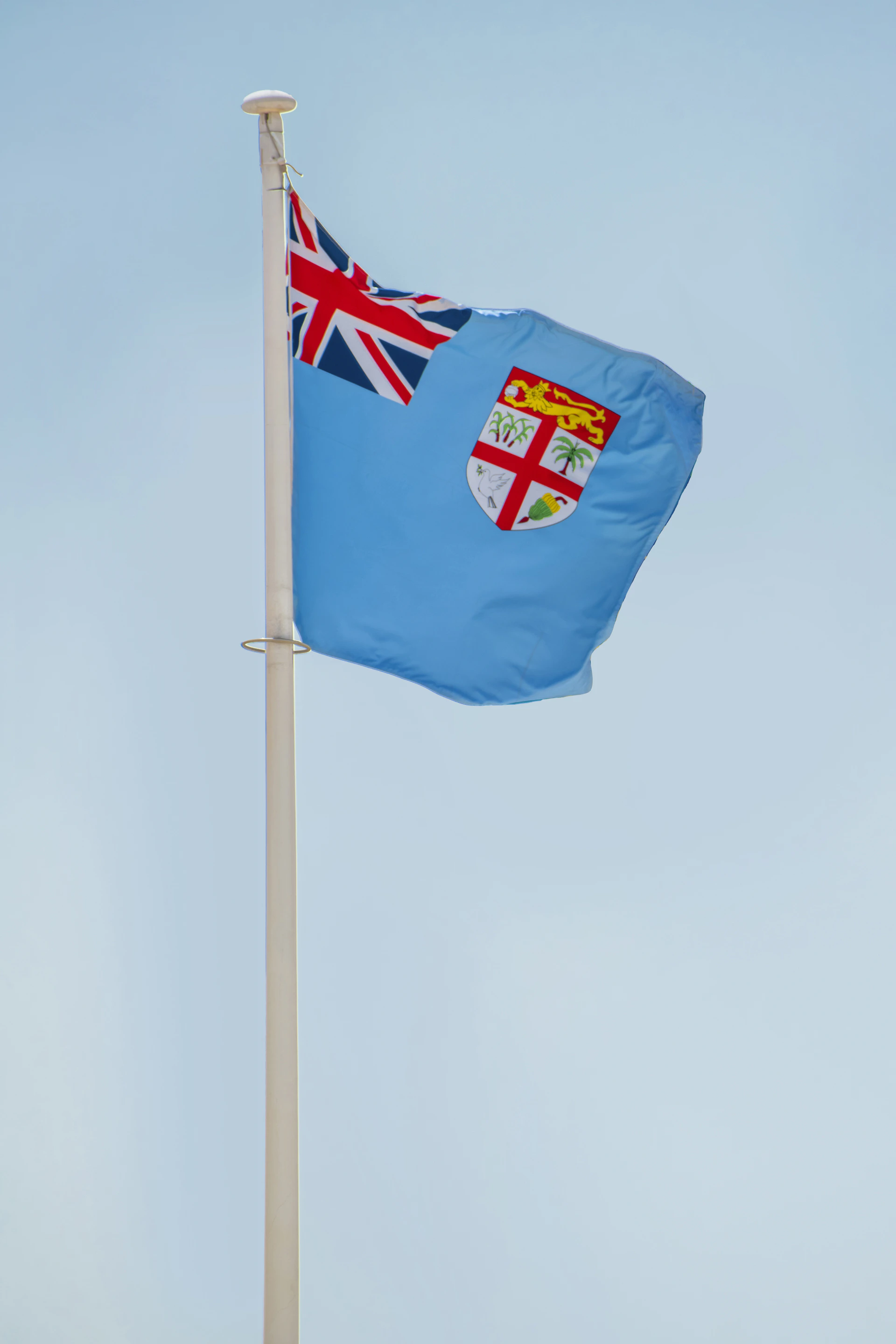a flag on a pole