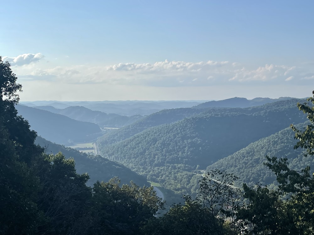 a view of a valley with trees and mountains in the background