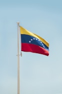 a flag on a pole