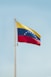 a flag on a pole