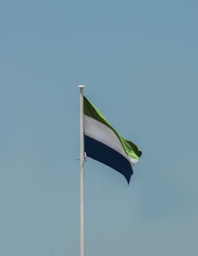 a flag on a pole
