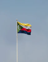 a flag on a pole