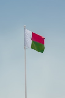 a flag on a pole
