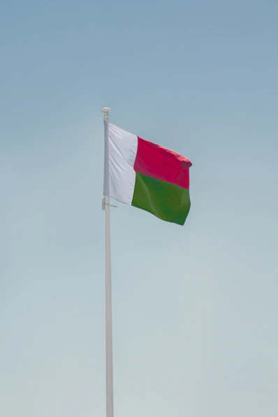 a flag on a pole