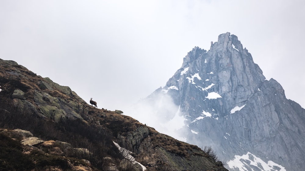 a person climbing a mountain