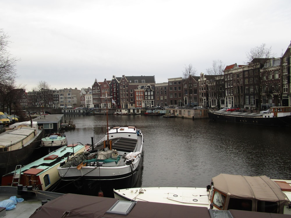 boats in a harbor