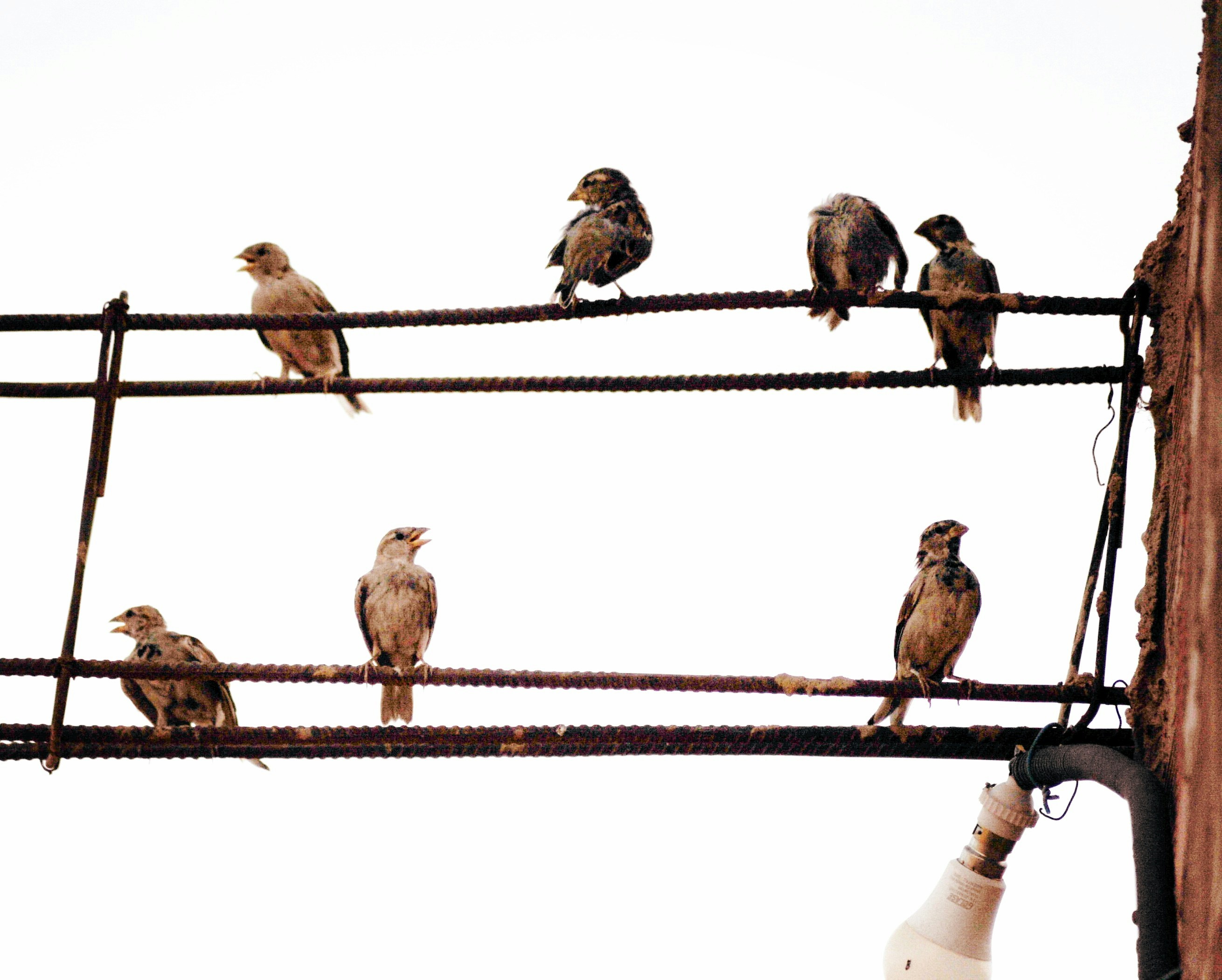 Photo by mohamed_majid