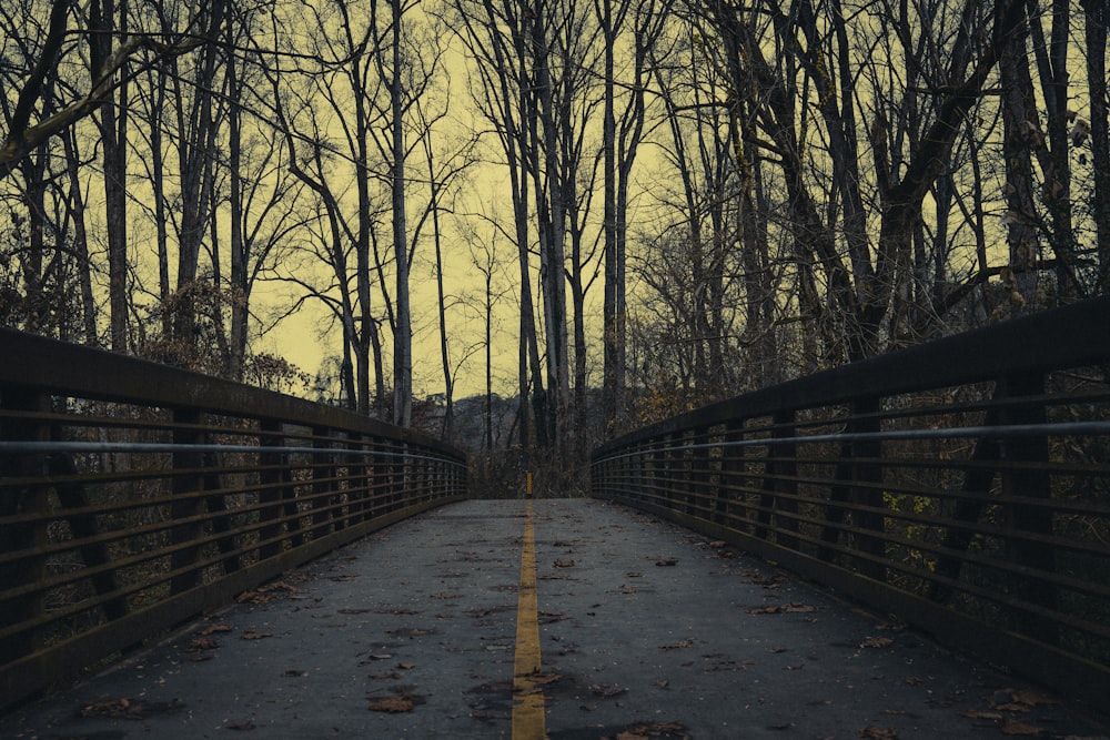 a bridge with trees on the side