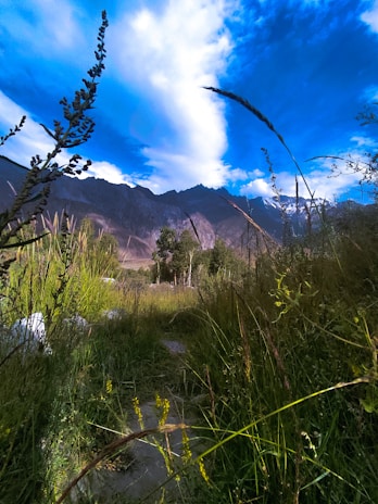 A vibrant photo showcasing a Wyoming landscape.