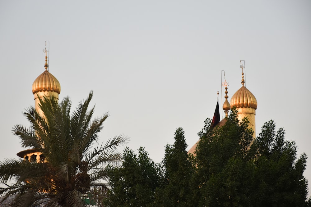 a group of trees with domed buildings