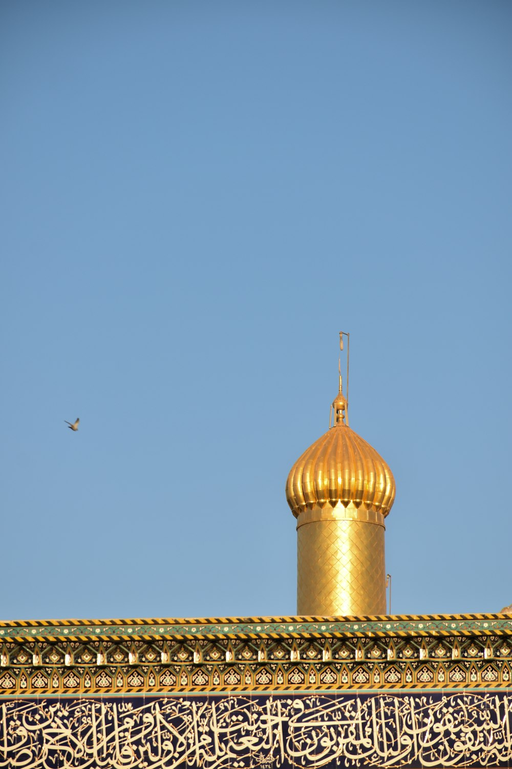 ドーム型の建物の上を飛ぶ鳥
