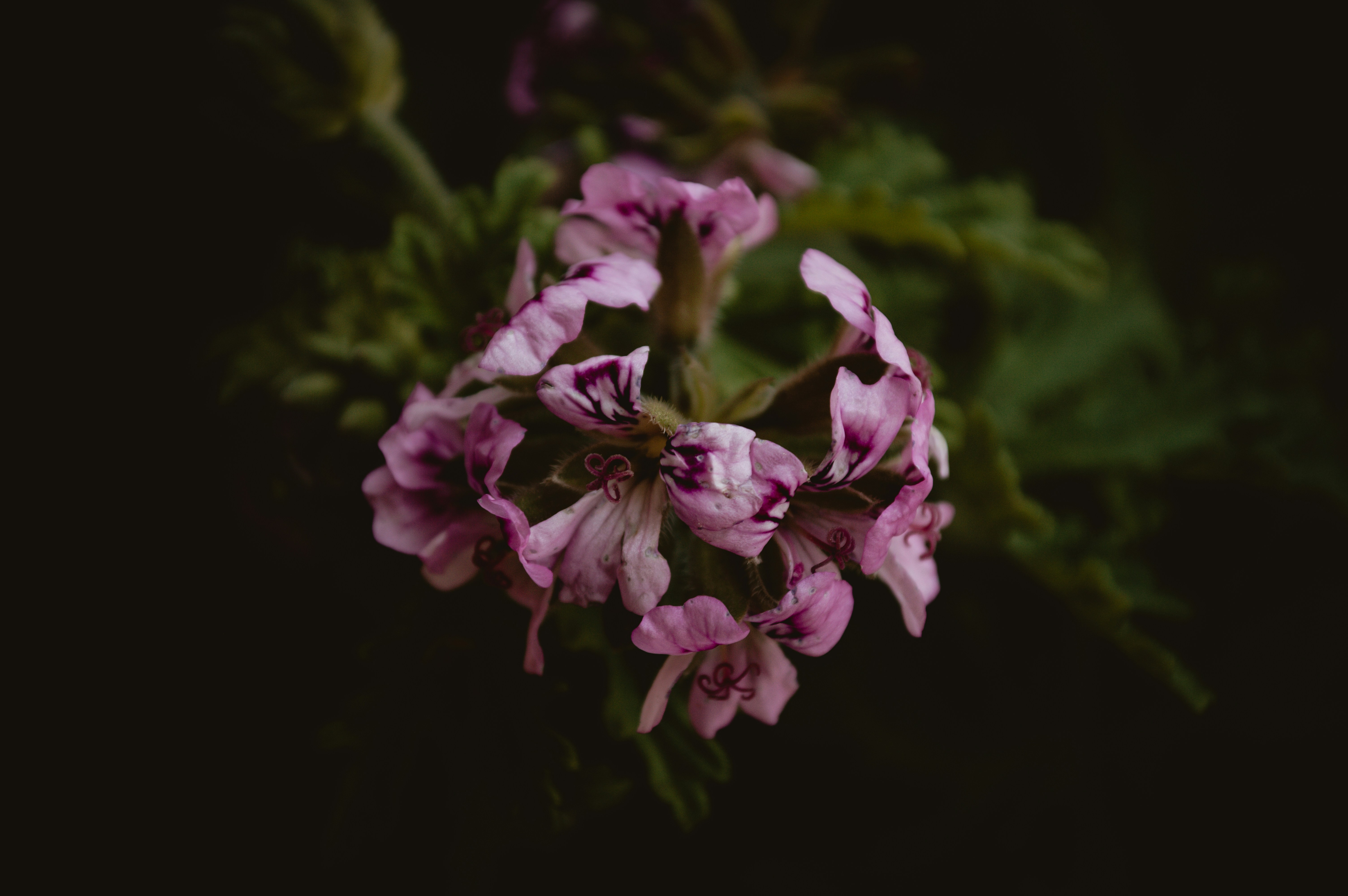 Photo by somospach