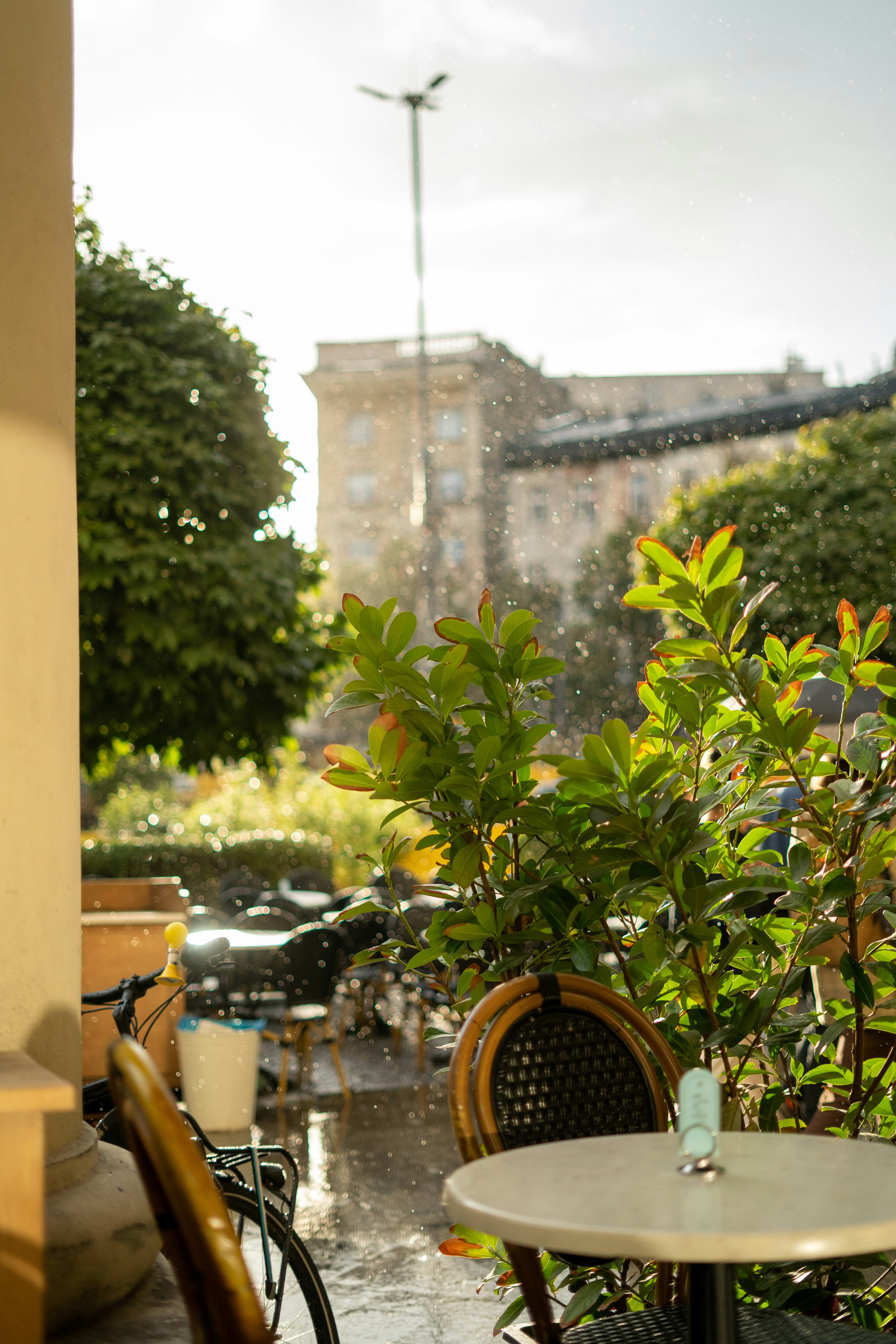 Photo by olenkasergienko