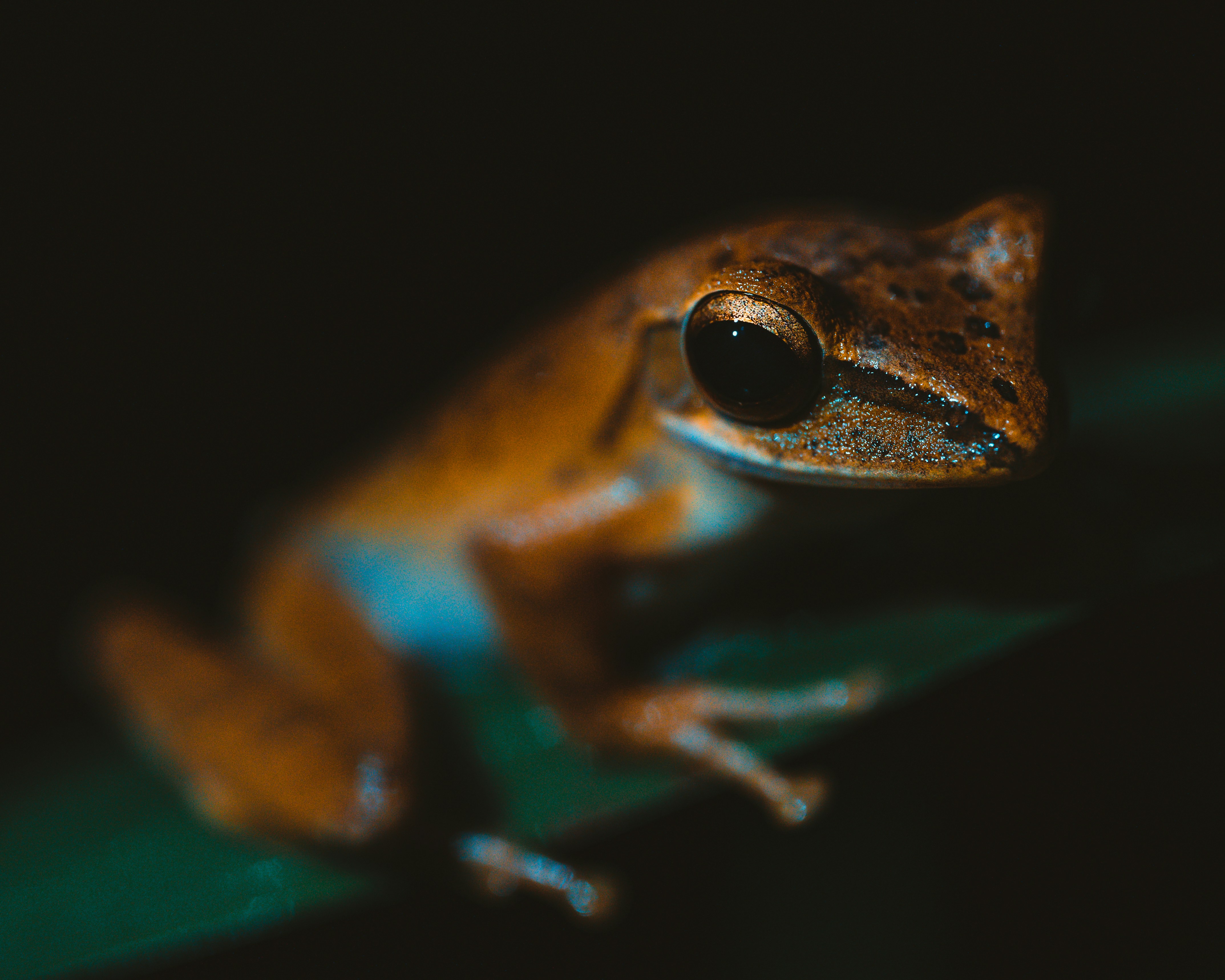 Photo by jensdedecker