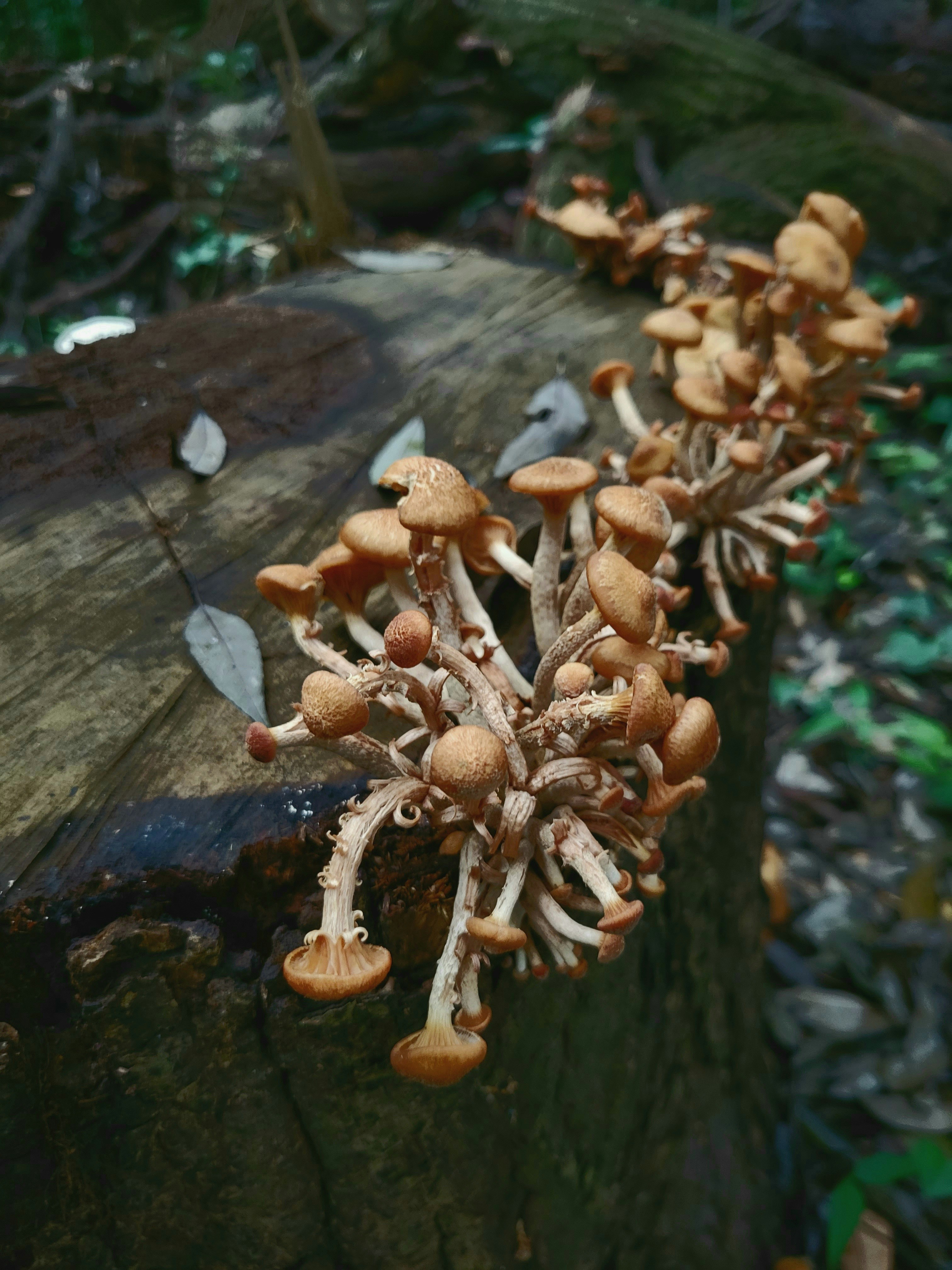 Photo by butuceavlad