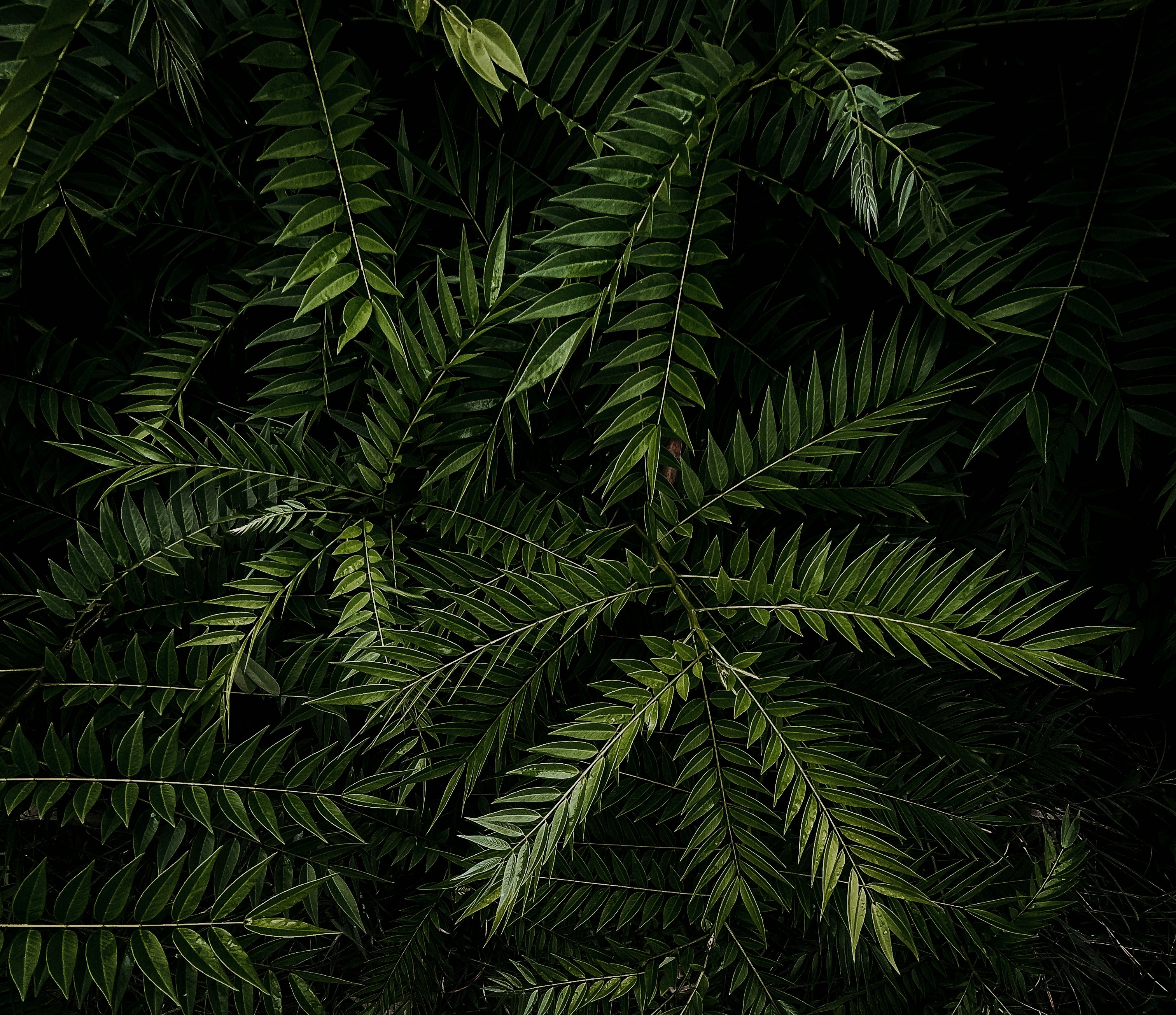 Photo by storiesonwheel