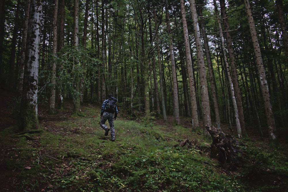 a person walking through a forest