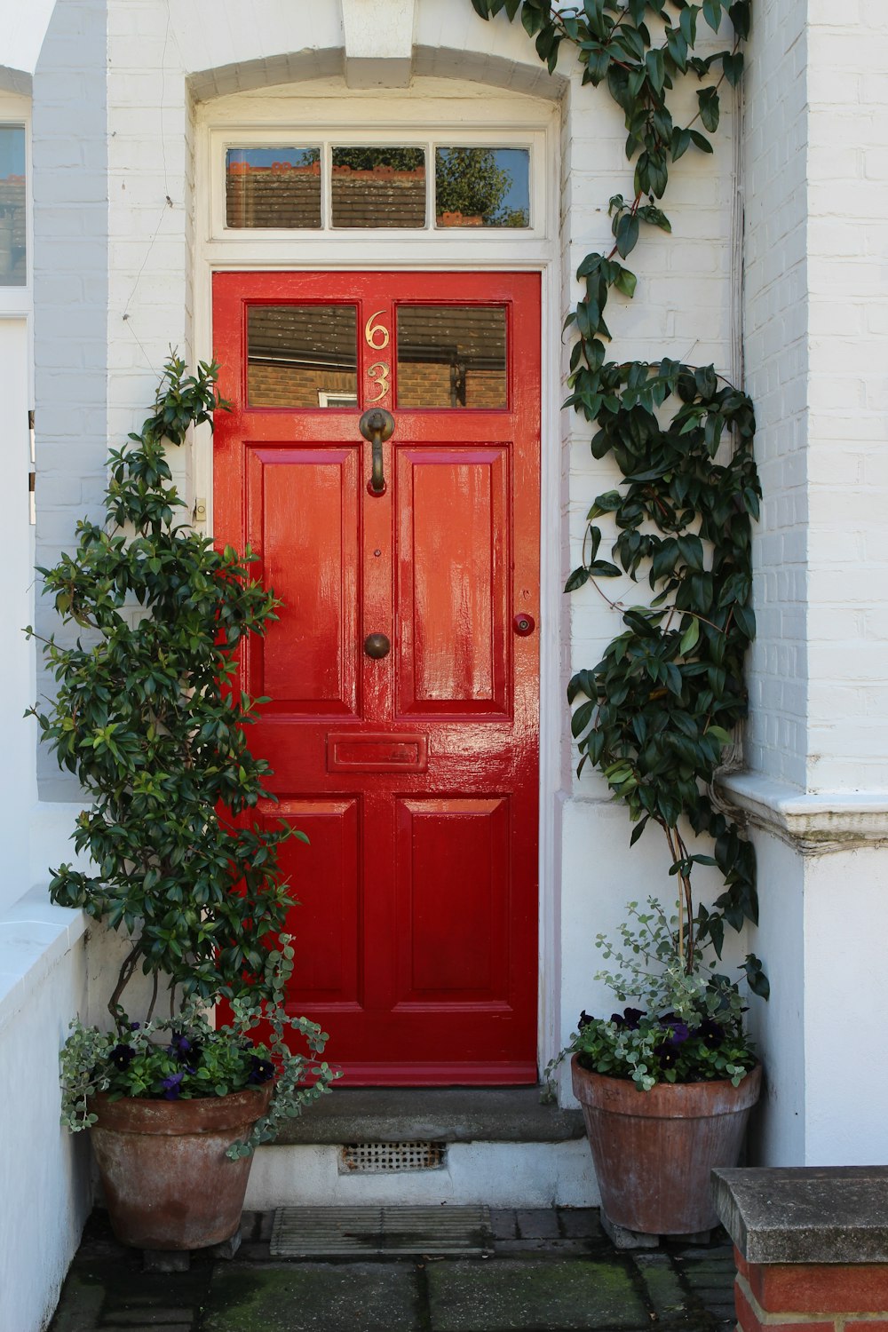a red door with potted plants