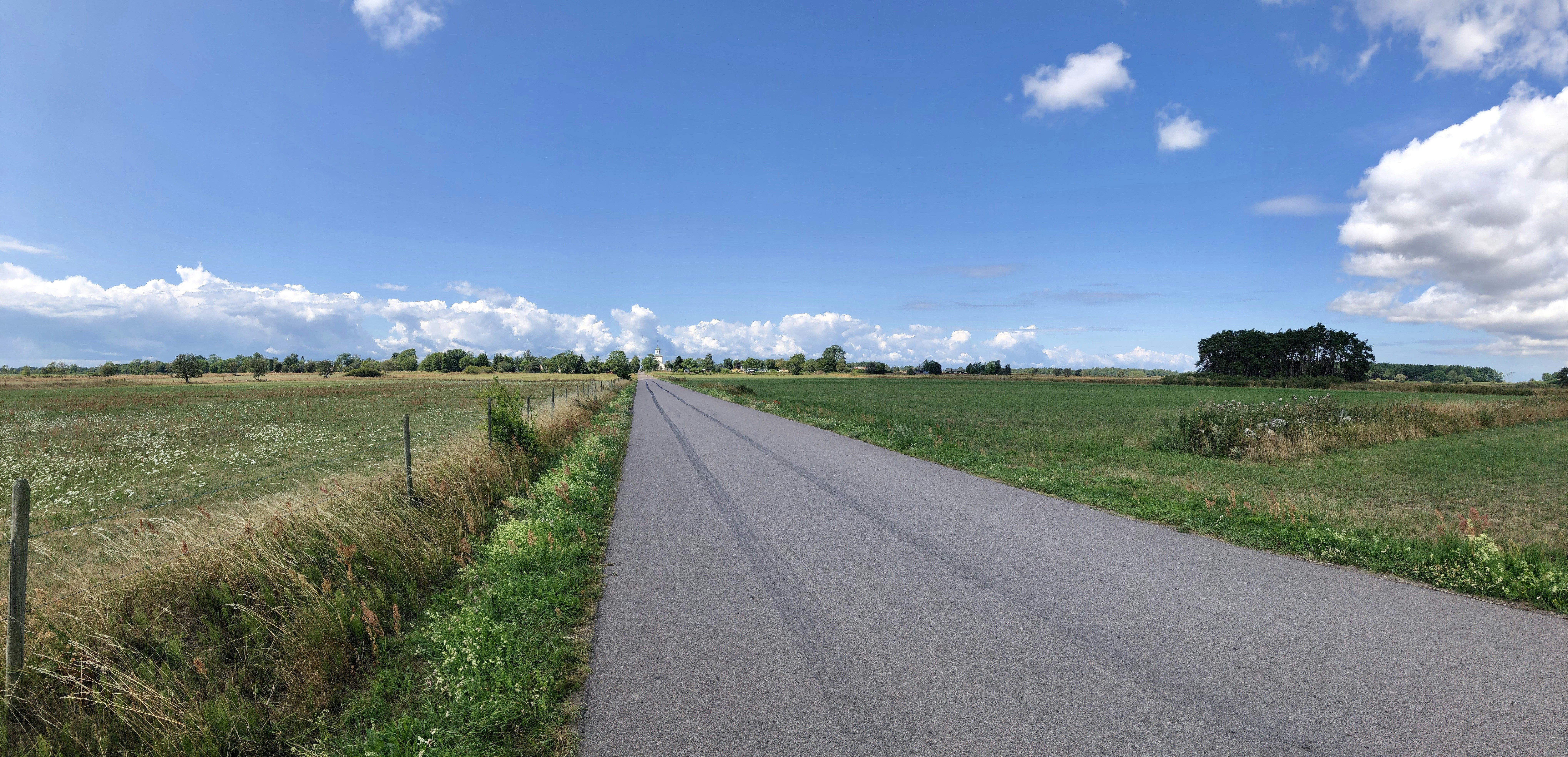 a road with grass on the side
