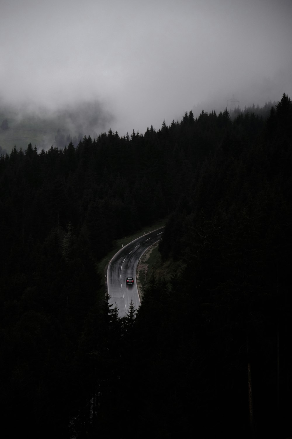 a road surrounded by trees