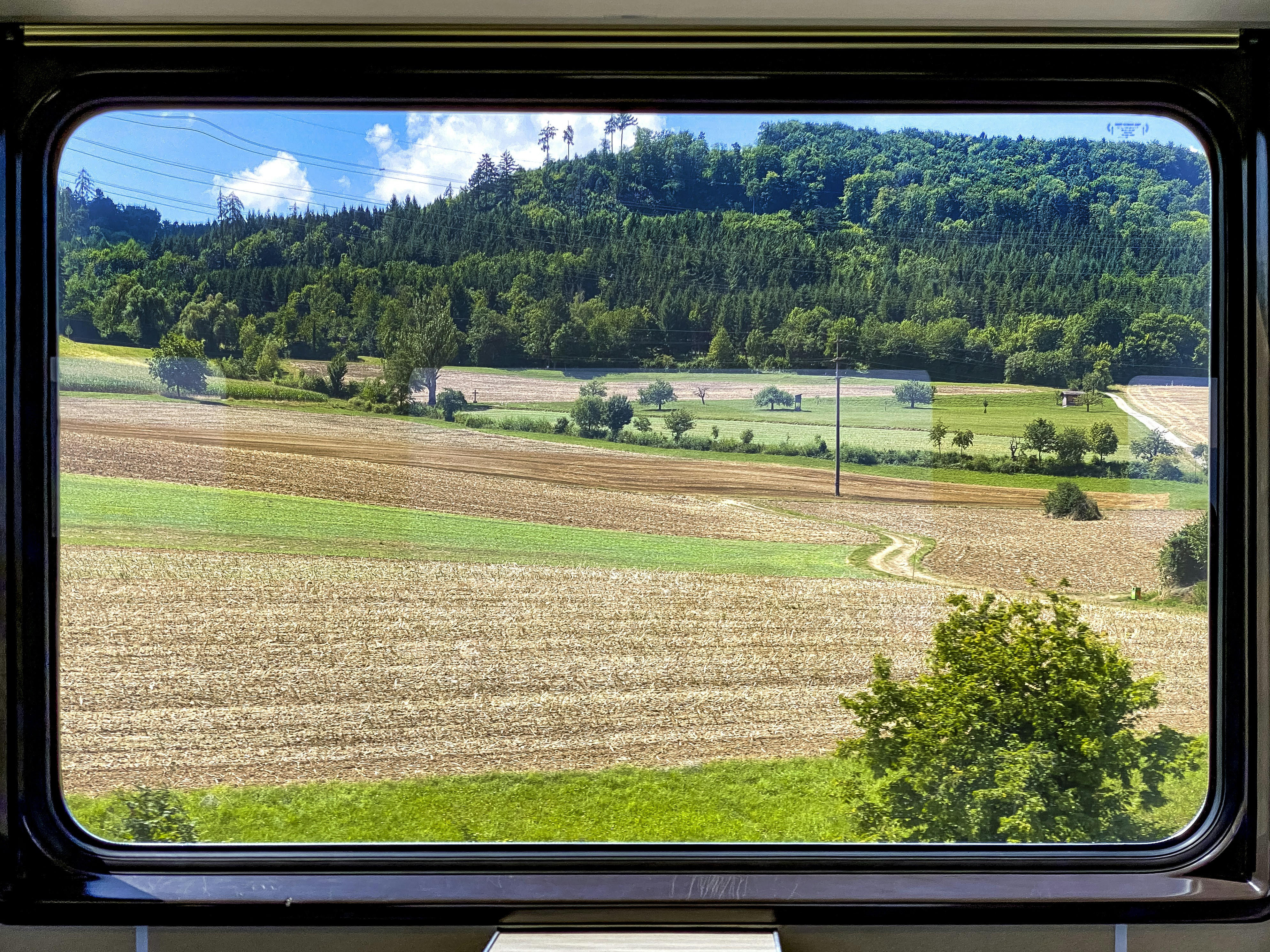 Una vista de un campo y árboles desde una ventana