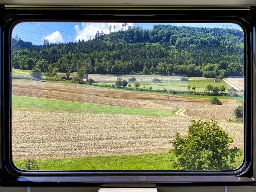 Une vue depuis la fenêtre d'un train : champs verdoyants et arbres au soleil de l'après-midi
