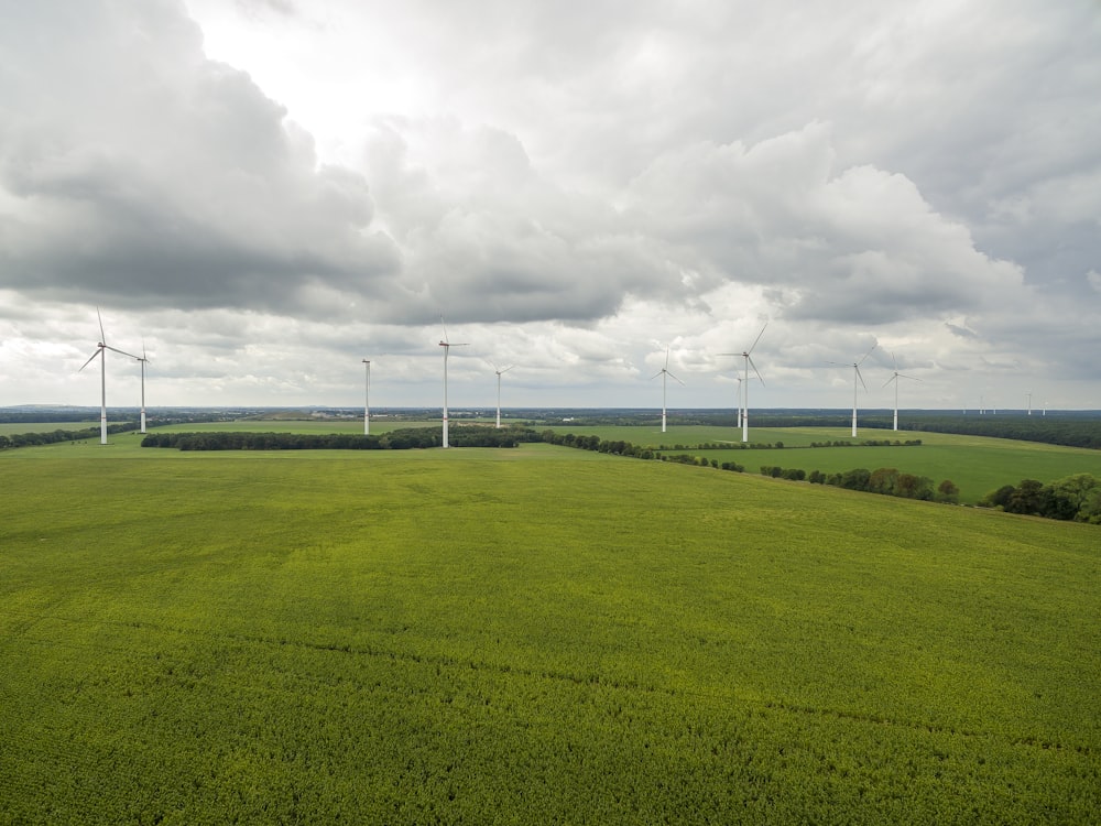 a large green field with windmills