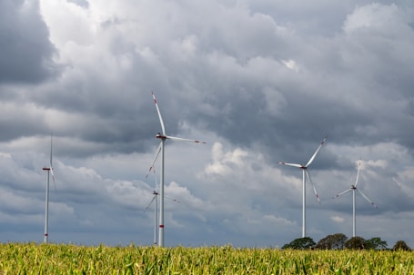 a group of wind turbines in a field
