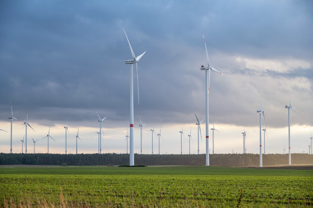 a group of wind turbines