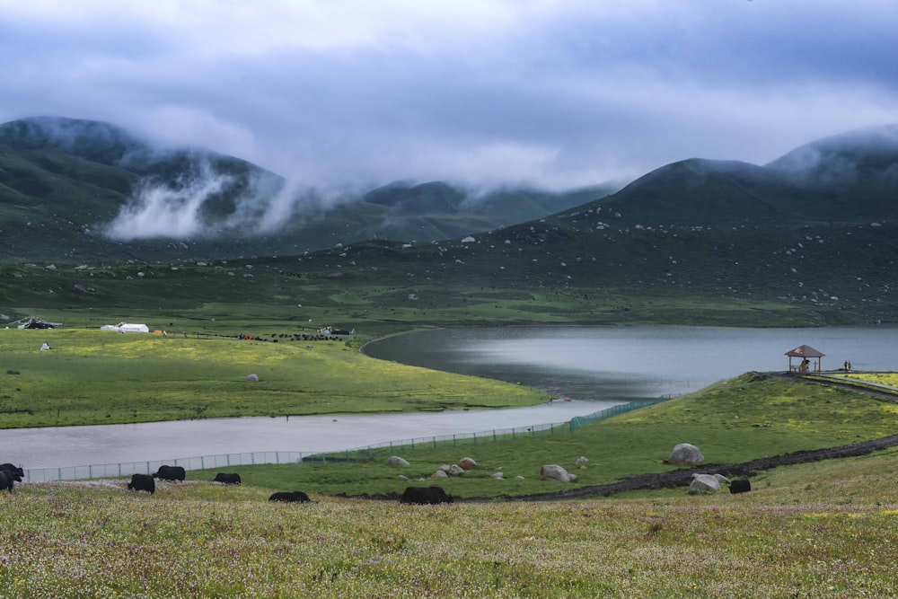 a lake surrounded by mountains