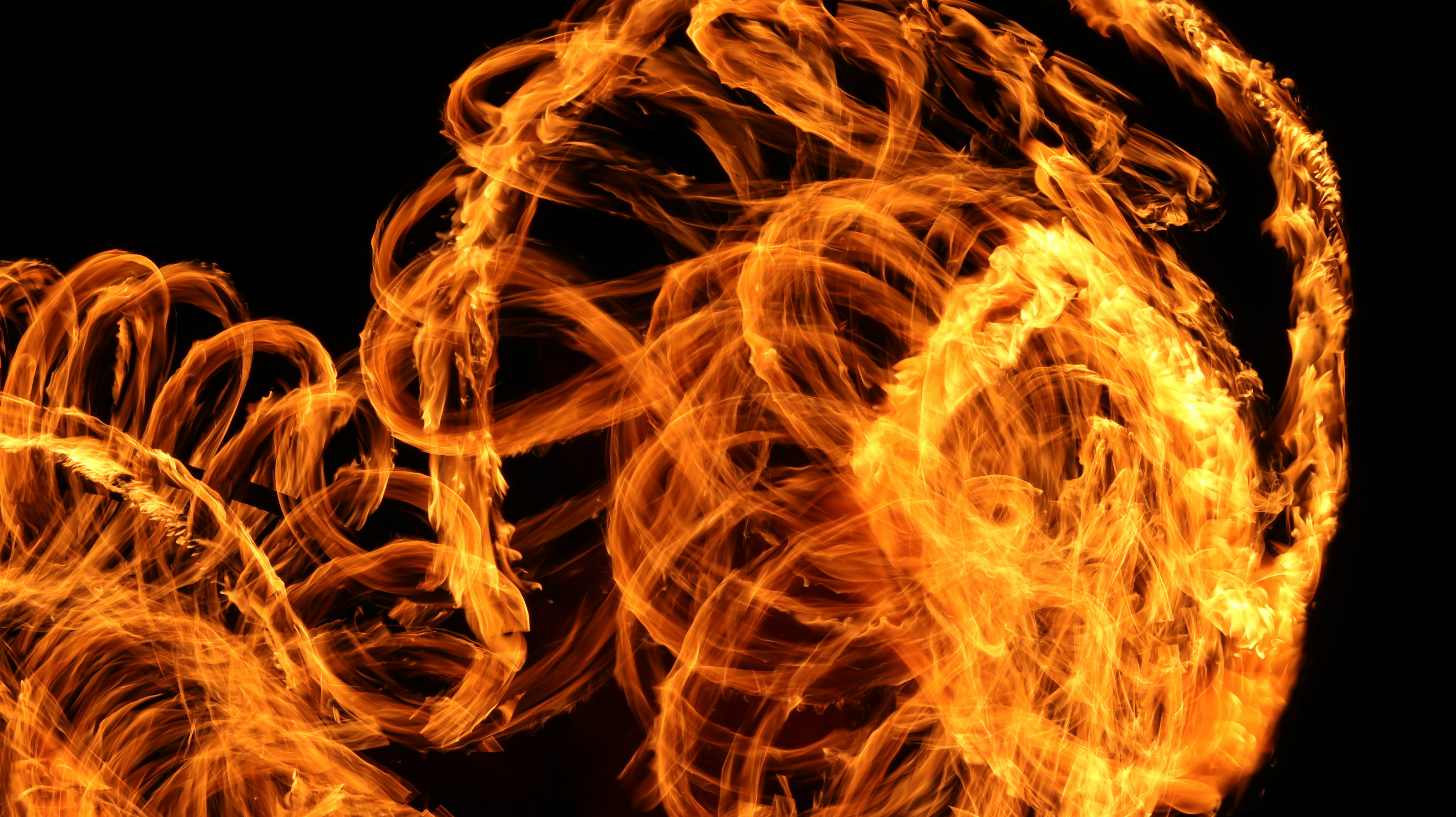 Photo by kavinci_studio