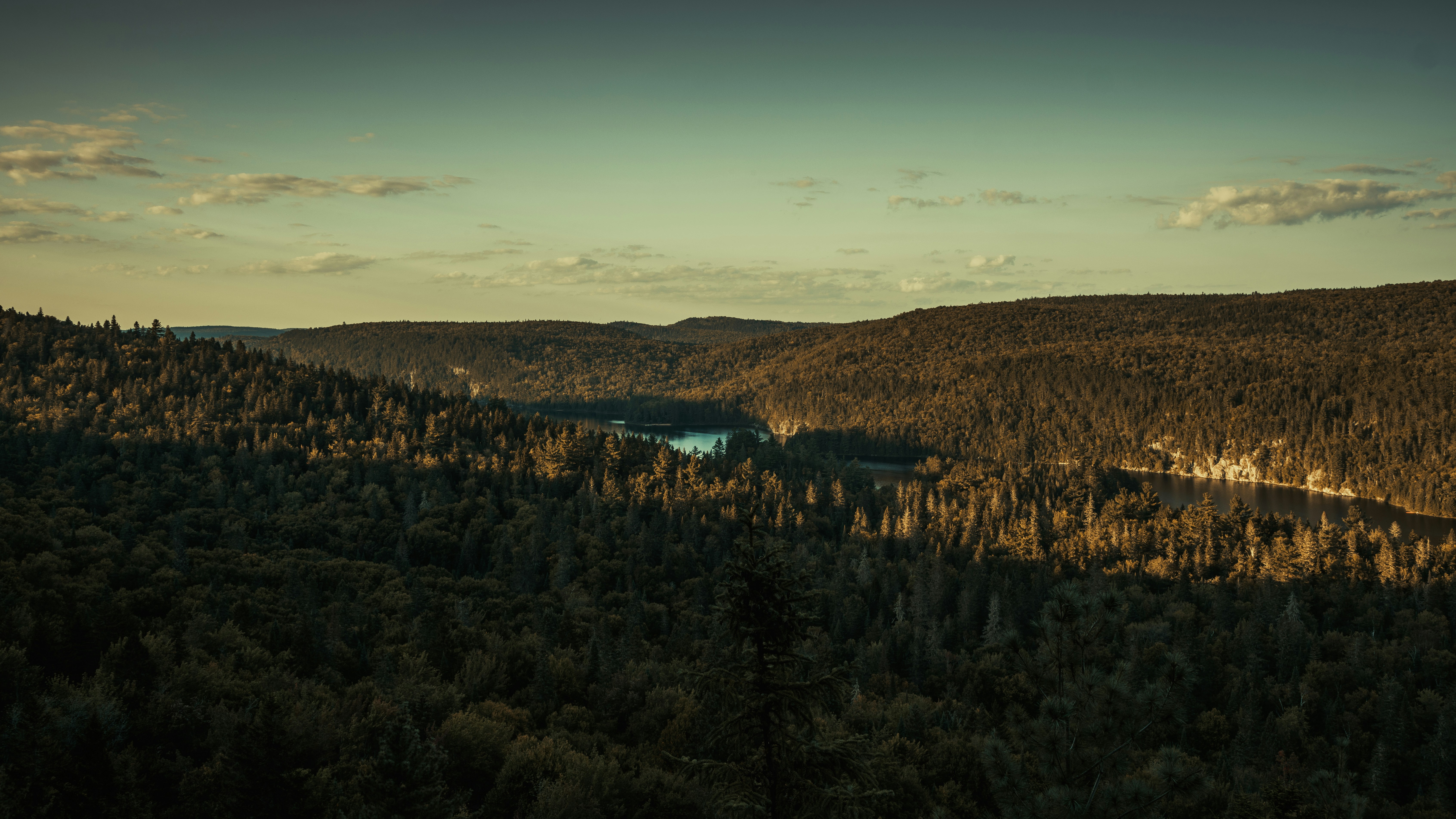 Containers in Forest Falls, CA