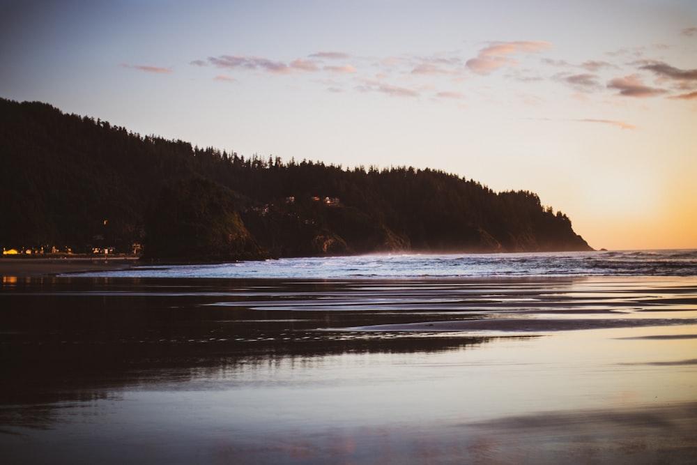 a beach with trees and a hill in the background