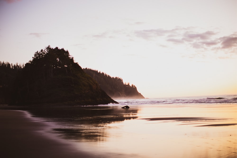 a beach with a hill in the background