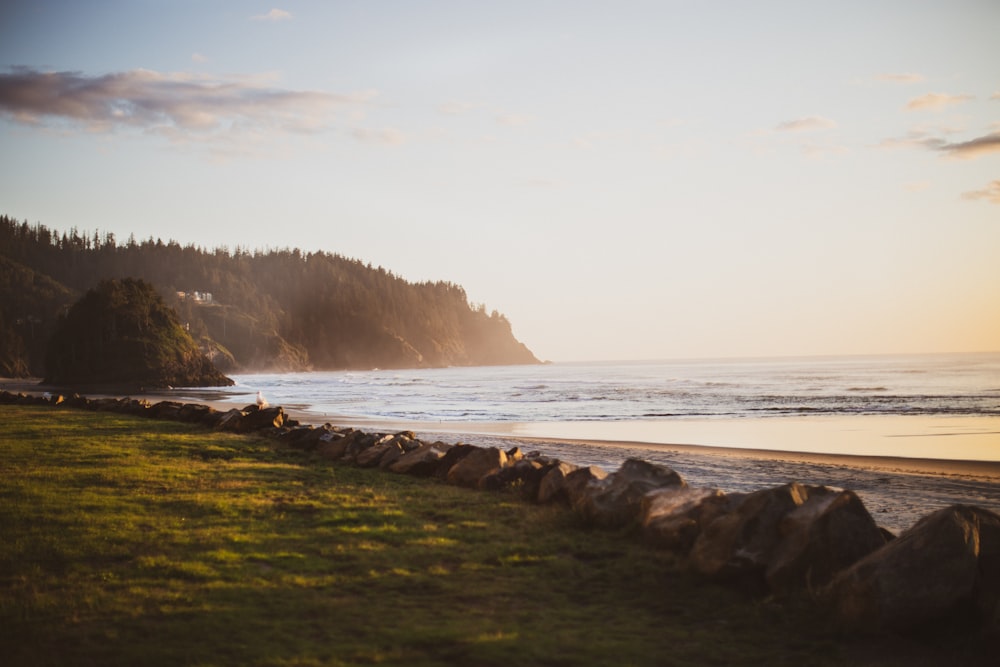 a beach with rocks and grass