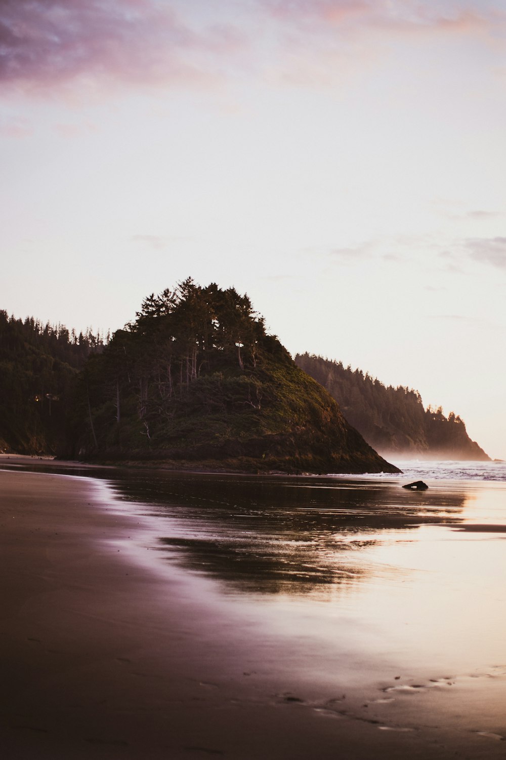 a beach with a hill and trees