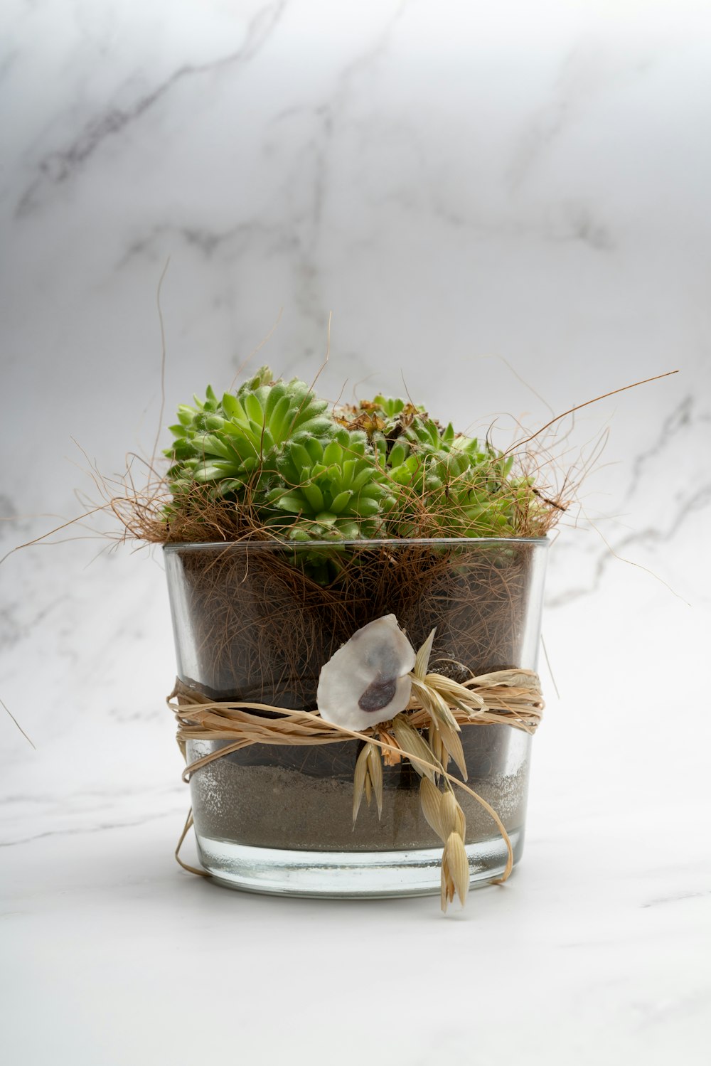 a basket with plants in it