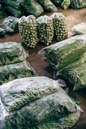 a group of green vegetables