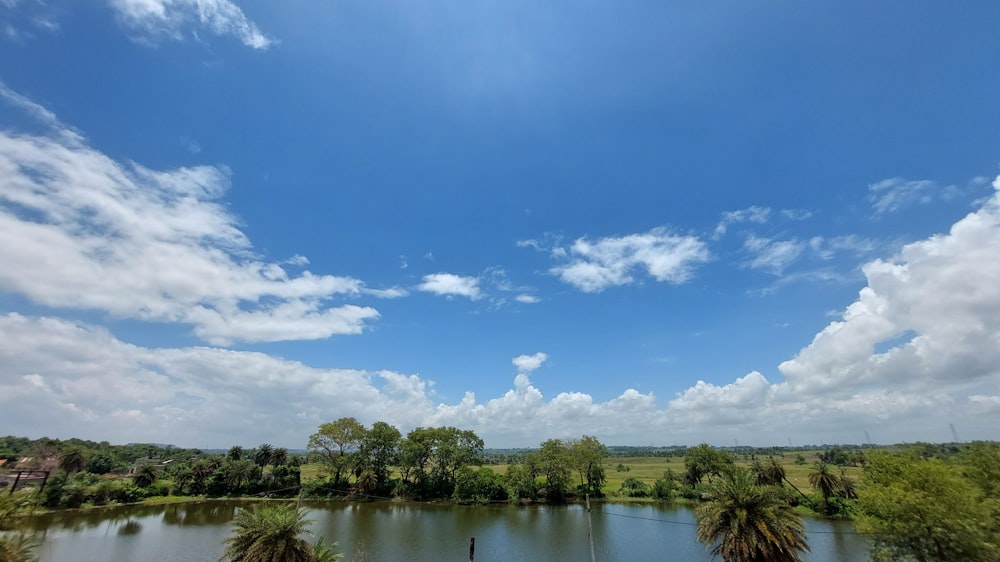 a body of water with trees around it