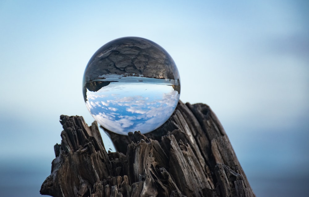 a globe on a stump