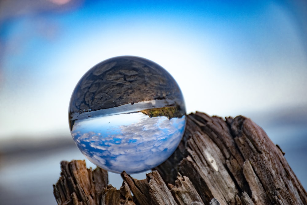 une sphère de verre sur une bûche