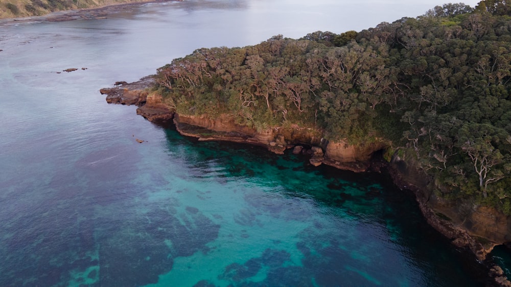 uma praia rochosa com árvores