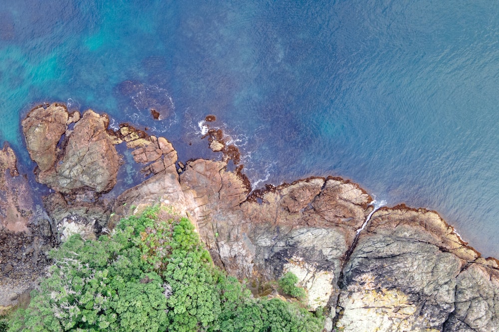 a rocky cliff with a tree