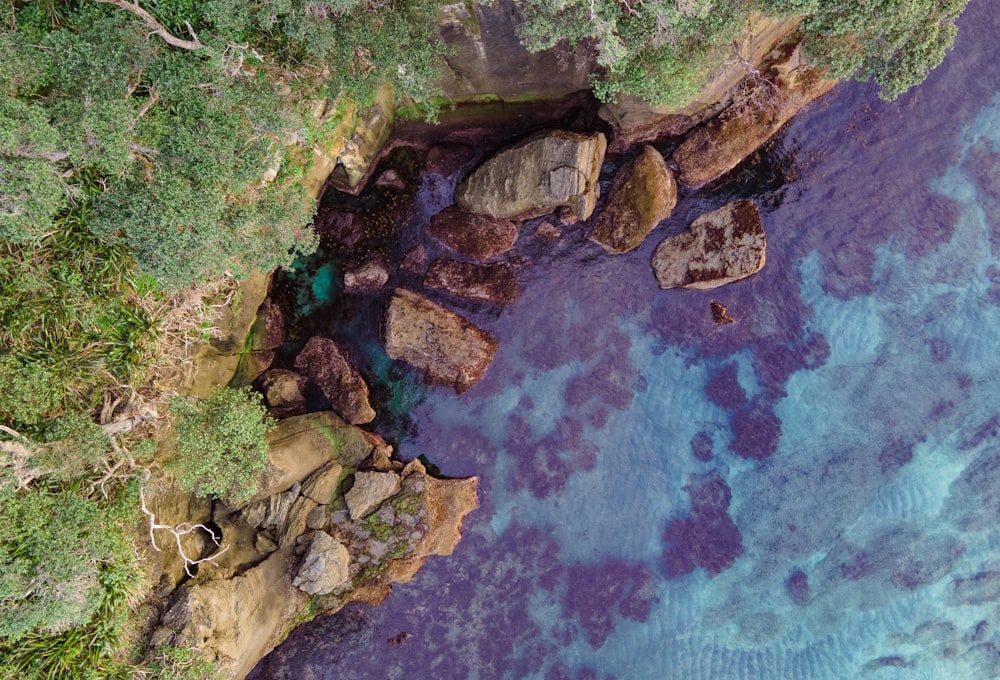 un courant d’eau avec des roches et de la mousse sur les côtés